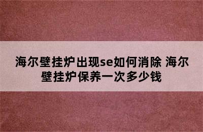 海尔壁挂炉出现se如何消除 海尔壁挂炉保养一次多少钱